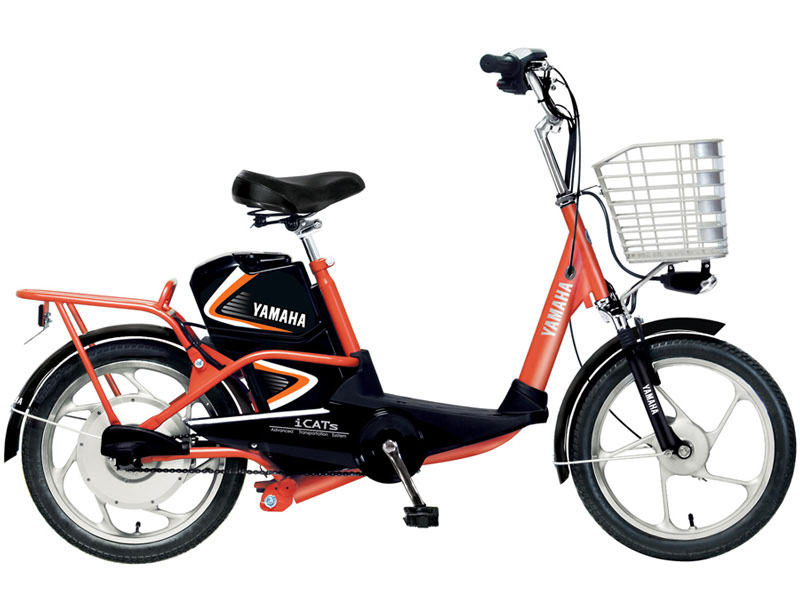 Ắc quy xe đạp điện Yamaha Quảng Bình