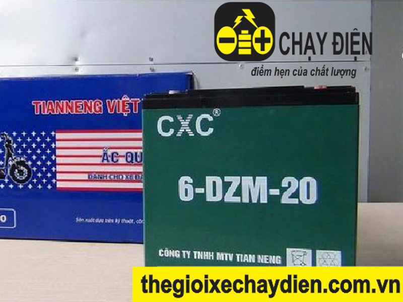 Ắc quy xe máy điện (12v - 20a)