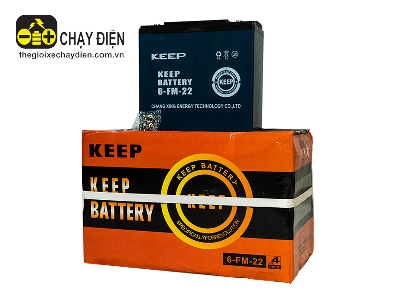 Ắc quy xe máy điện 12v-30a KEEP