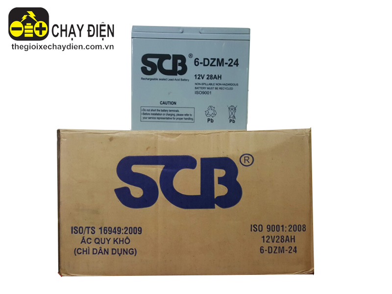 Ắc quy xe máy điện SCB 12V-20Ah