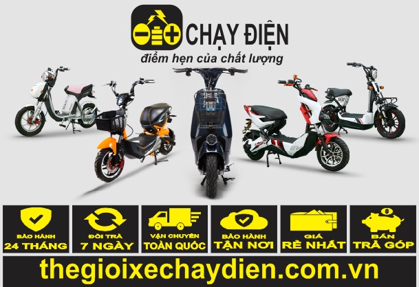 Cầm đồ xe đạp điện