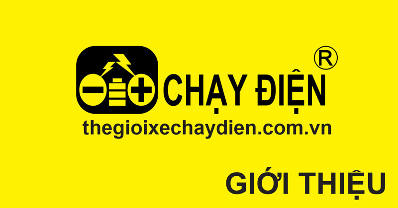 GIỚI THIỆU CÔNG TY CỔ PHẦN THẾ GIỚI XE CHẠY ĐIỆN