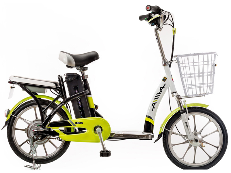 Phụ tùng xe đạp điện Aima Cây Trường chính hãng