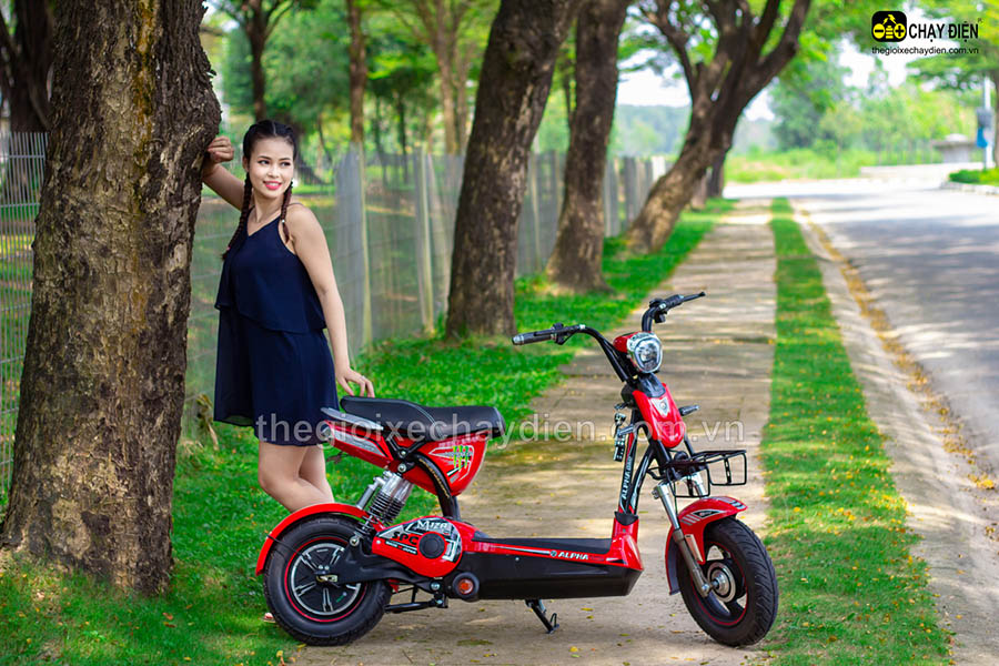 Phụ tùng xe đạp điện Alpha Cà Mau 