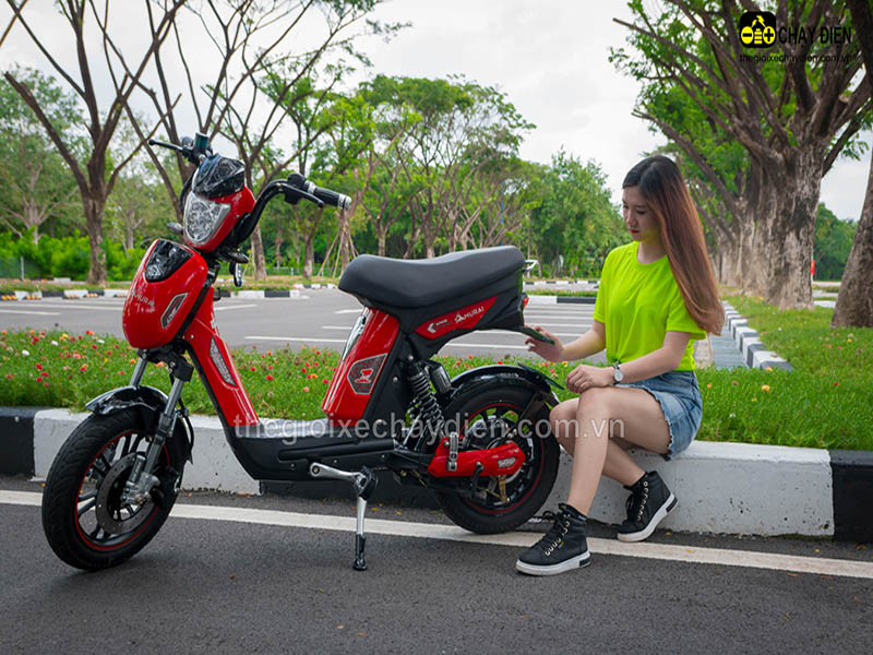 Phụ tùng xe đạp điện Đào Khôi Dkbike Hà Nam