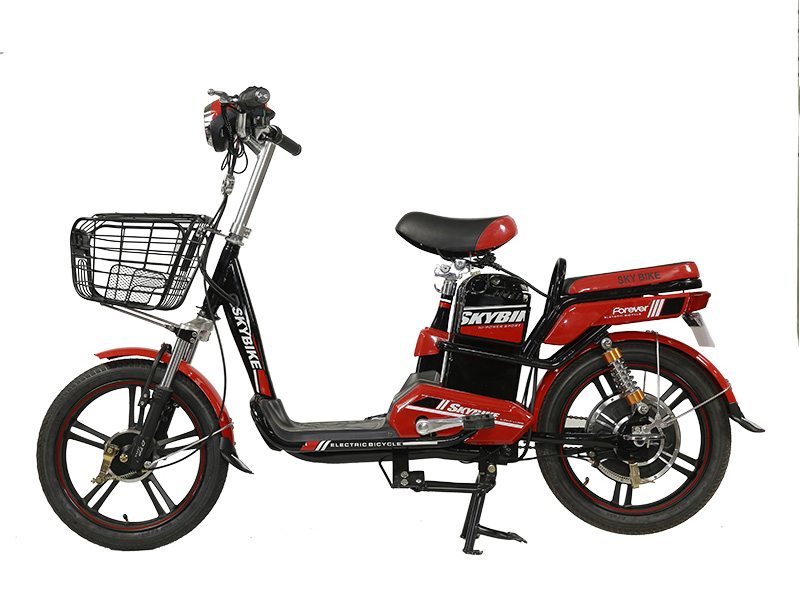 Phụ tùng xe đạp điện DTP Hưng Yên