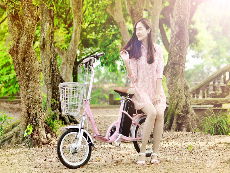 Phụ tùng xe đạp điện Gianya Lào Cai