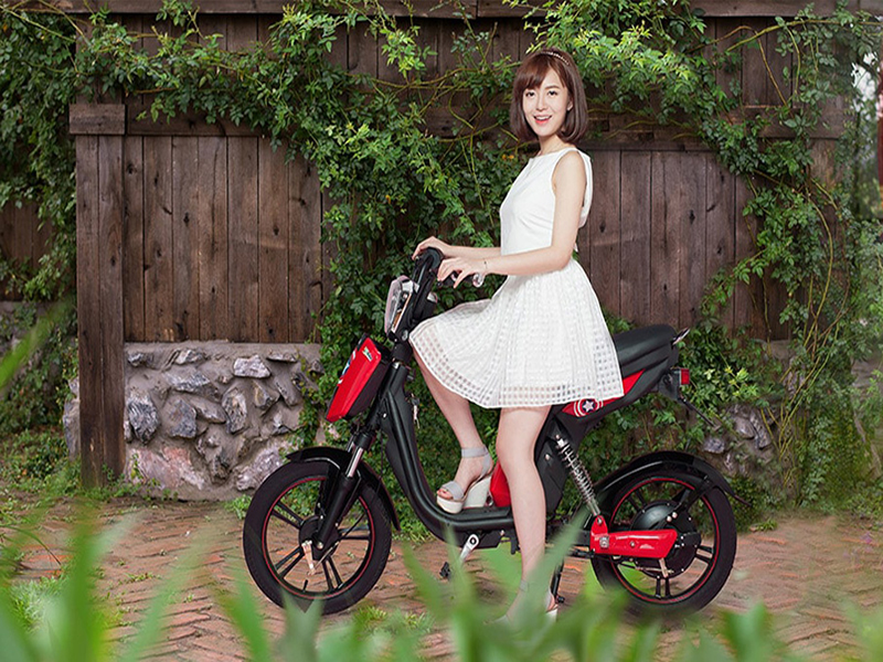 Phụ tùng xe đạp điện Hkbike Hà Nội 