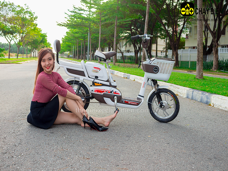 Phụ tùng xe đạp điện Honda Trảng Bom