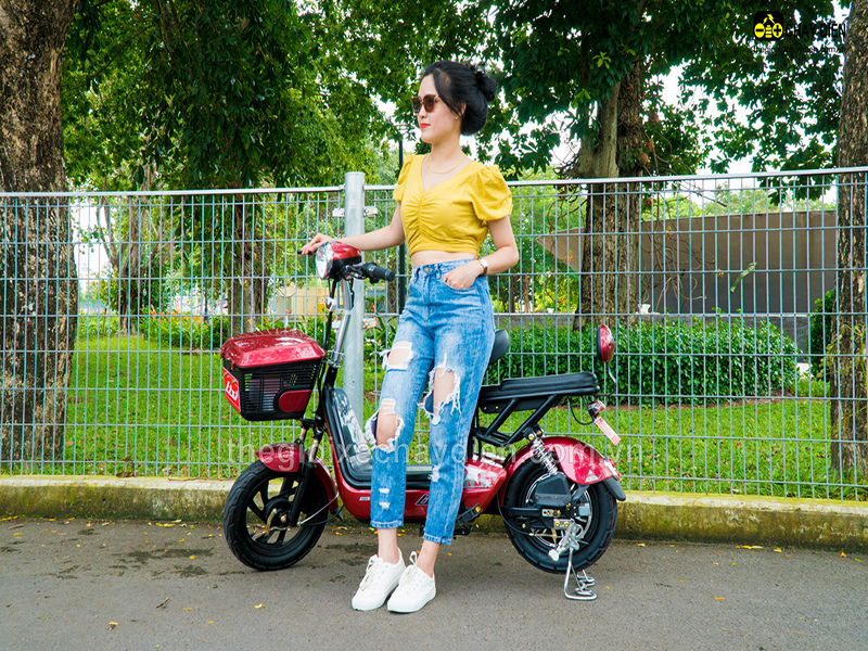 Phụ tùng xe đạp điện Lixi Bình Tân
