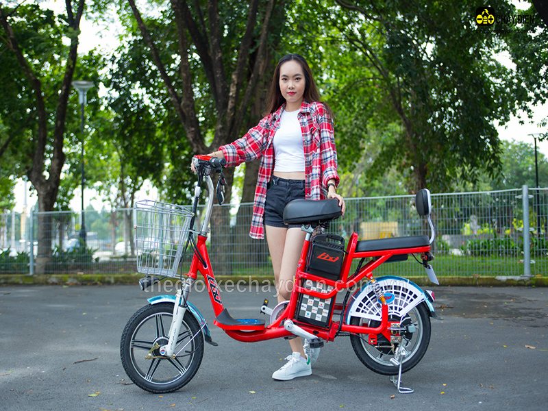 Phụ tùng xe đạp điện Lixi Đống Đa