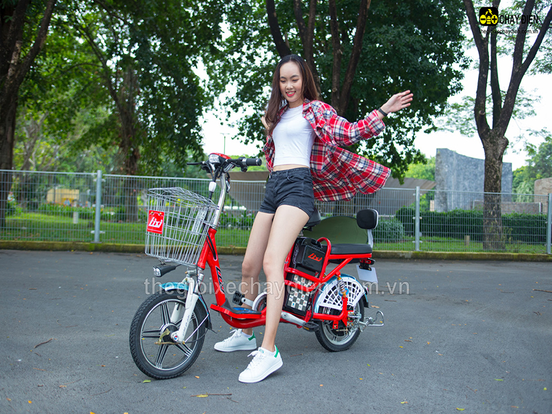 Phụ tùng xe đạp điện Lixi Hoàn Kiếm