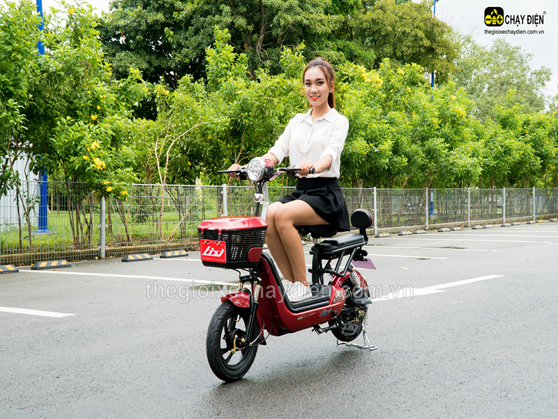 Phụ tùng xe đạp điện Lixi Lâm Đồng