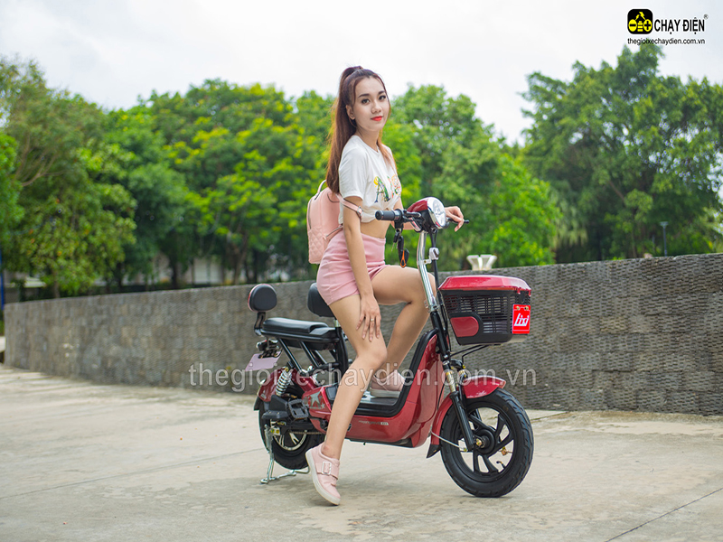 Phụ tùng xe đạp điện Lixi Nam Định
