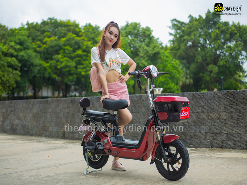 Phụ tùng xe đạp điện Lixi Nguyễn Ảnh Thủ