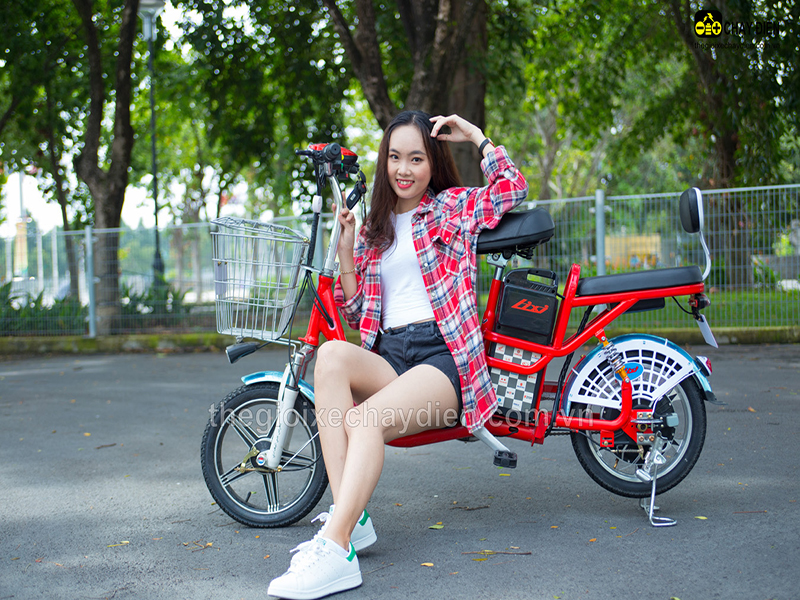 Phụ tùng xe đạp điện Lixi Trảng Bom