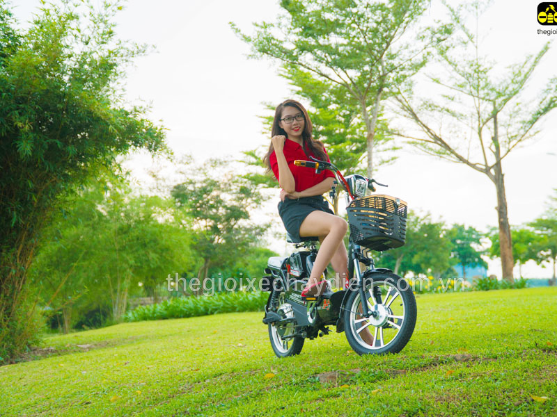 Phụ tùng xe đạp điện Nijia Cao Bằng