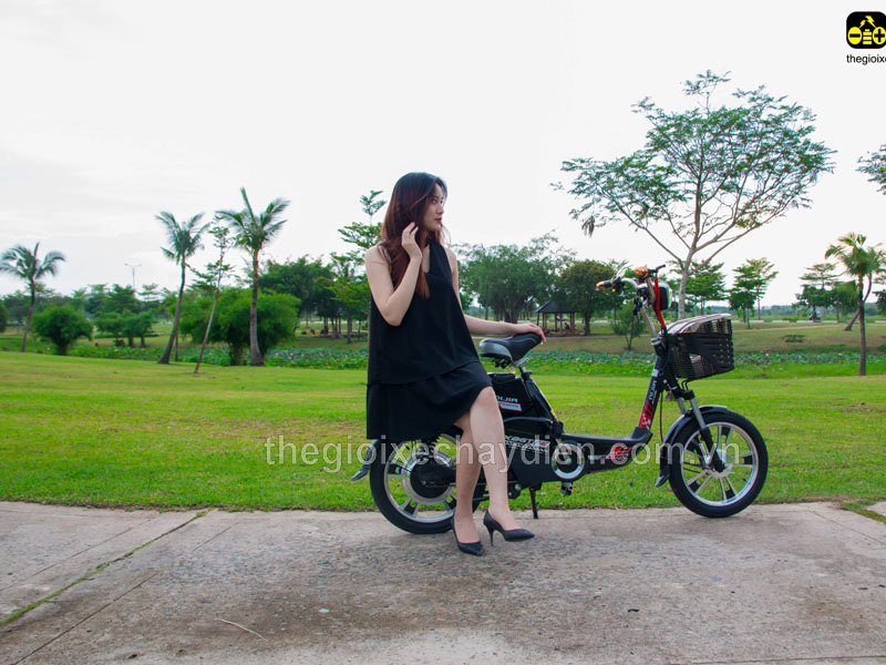 Phụ tùng xe đạp điện Nijia Lâm Đồng