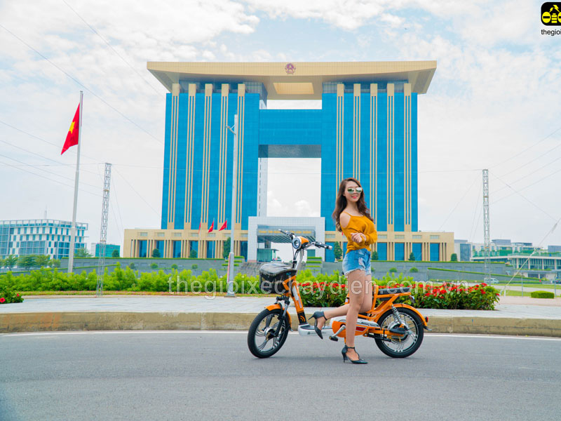 Phụ tùng xe đạp điện Nijia Long Biên