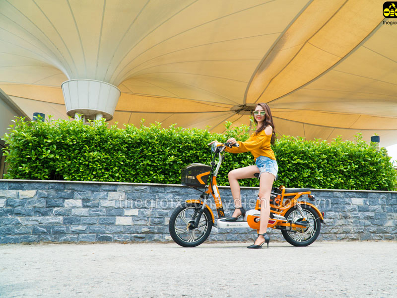 Phụ tùng xe đạp điện Nijia Yên Bái