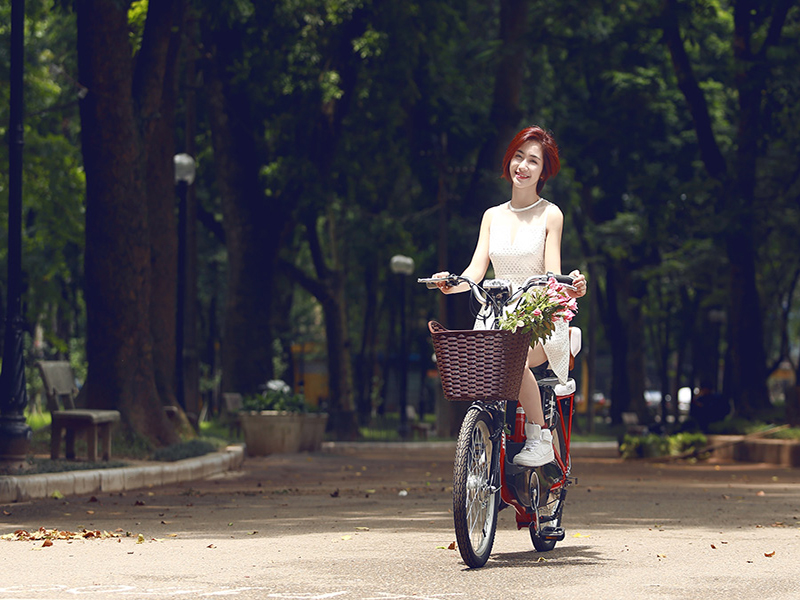 Phụ tùng xe đạp điện Nishiki Nguyễn Ảnh Thủ