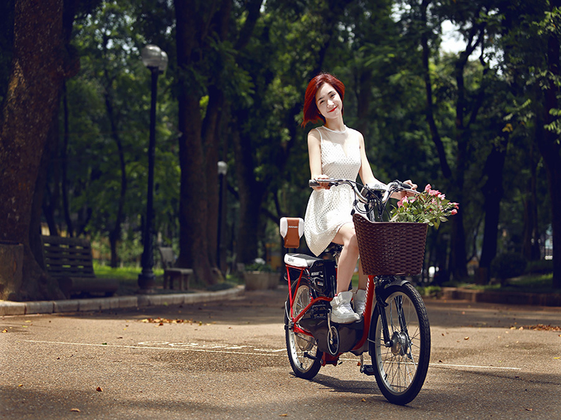 Phụ tùng xe đạp điện Nishiki TP.HCM