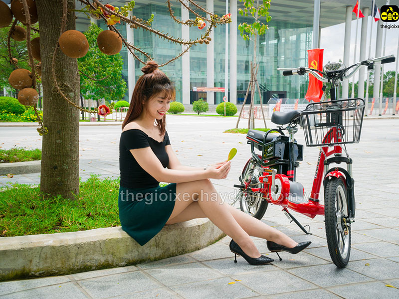 Phụ tùng xe đạp điện Terra Motors Nam Định 