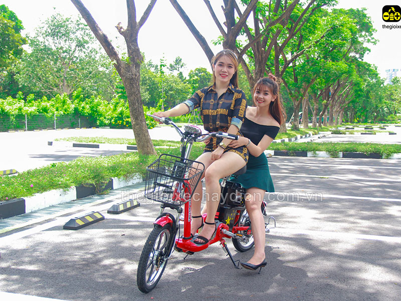 Phụ tùng xe đạp điện Terra Motors Ninh Bình 