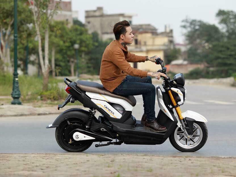 Phụ tùng xe máy điện Zoomer X6