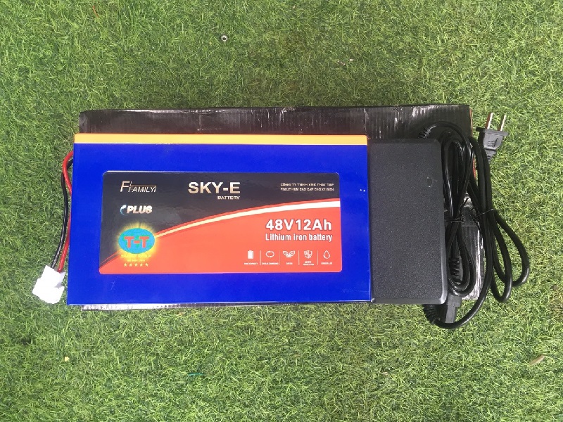 Pin xe đạp điện 48v-12a Sky