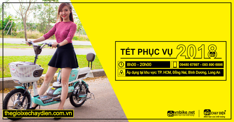 Tết phục vụ 2018 Thế Giới Xe Chạy Điện