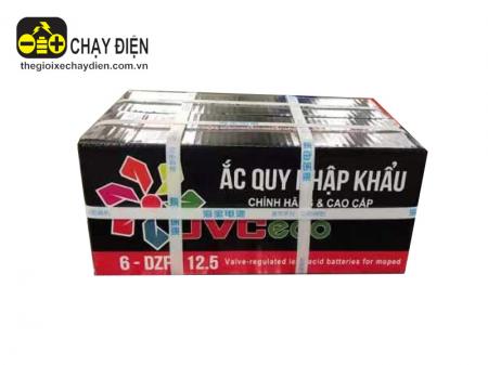 Ắc quy xe đạp điện 12v-12a Jvc