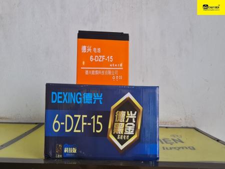 Ắc quy xe đạp điện Dexing 12v-12a