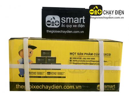 Ắc quy xe đạp điện Smart