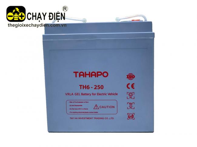 Ắc quy xe điện TAHAPO TH6-250 (6V – 250Ah) Xám