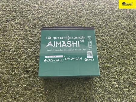 Ắc quy xe máy điện Amashi 12v-20a
