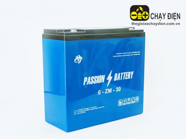 Ăc quy xe máy điện Passion 12v-30ah --