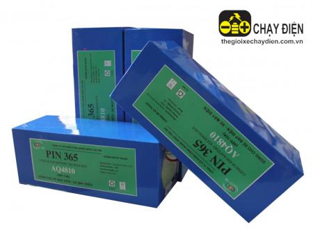 Lõi Pinlithium xe đạp điện 365 48v-10a