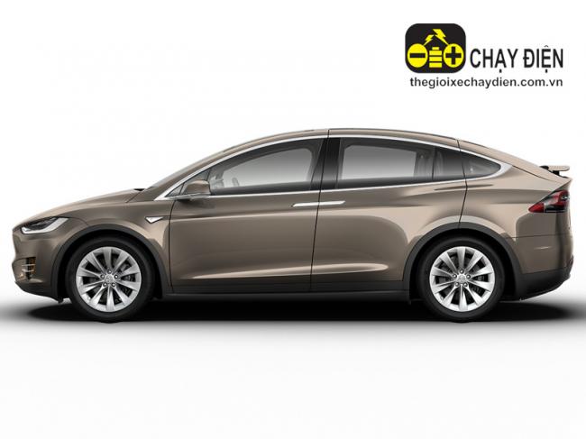 Ô tô điện Tesla Model X Đồng