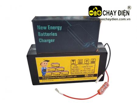 Pin LFP xe điện Smart 48V 15Ah