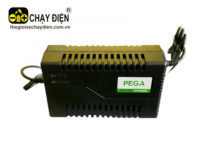 Sạc xe đạp điện pega Đen mờ