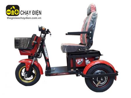 Xe 3 bánh điện M133S ghế tựa đa năng 48v12a