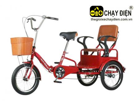 Xe đạp 3 bánh chở người Smart F3