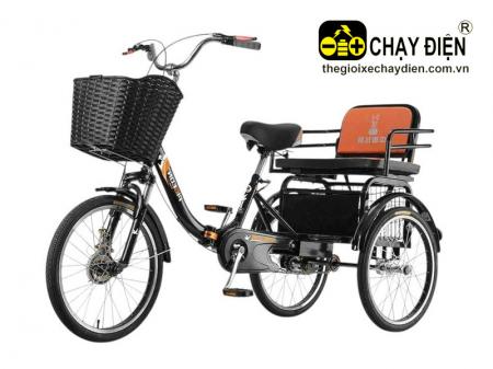 Xe đạp 3 bánh Smart D1