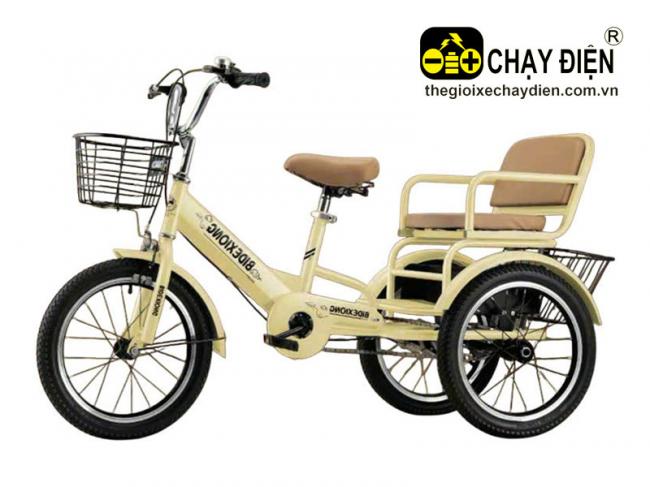 Xe đạp 3 bánh Smart D2 Vàng
