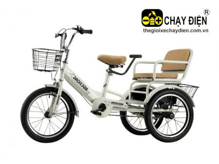 Xe đạp 3 bánh Smart D2