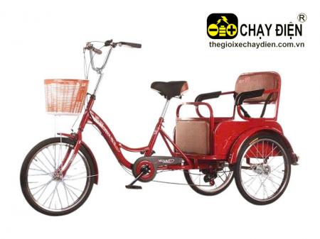 Xe đạp 3 bánh Smart D3