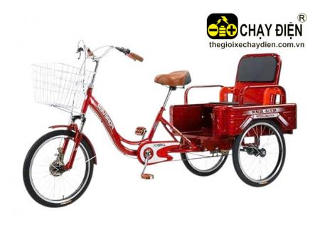 Xe đạp 3 bánh Smart D4