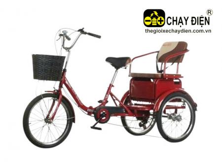 Xe đạp 3 bánh Smart T20