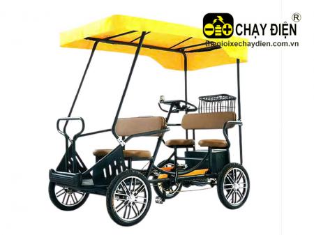 Xe đạp 4 bánh Vnbike D1